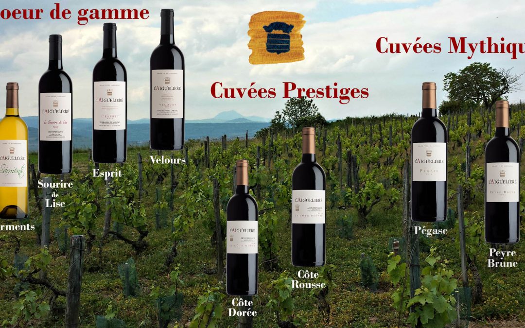 Cliquez sur la bouteille pour obtenir des infos ….